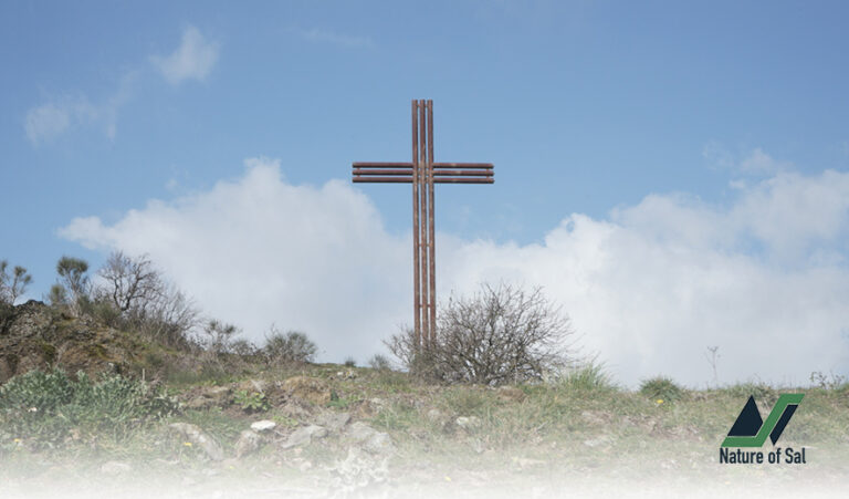 #RomeExpats: The great Irish Heritage Hike from Frascati to Monte Tuscolo 5 irish heritage frascati montetuscolo natureo of sal 3 768x451