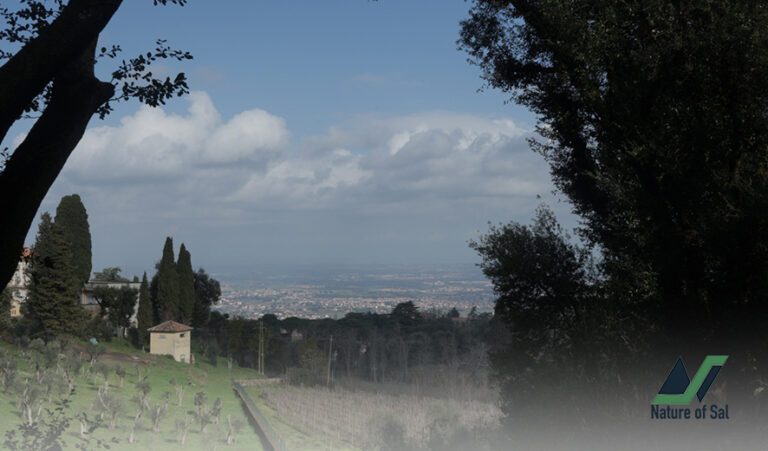 #RomeExpats: The great Irish Heritage Hike from Frascati to Monte Tuscolo 4 irish heritage frascati montetuscolo natureo of sal 4 768x451