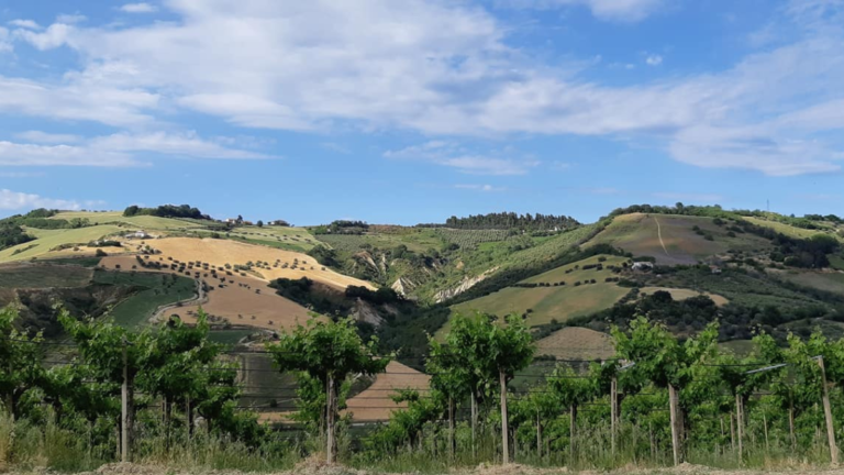 Abruzzo Expats: Wine Cellar Experience · Aperitif & Tasting 9 8 Expats in Abruzzo Wine Cellar Experience Aperitif Tasting Saturday March 22 600 PM Via della Liberazione 5 64032 Treciminiere 64032 Atri TE RSVP info@expatslivinginrome.com 768x432