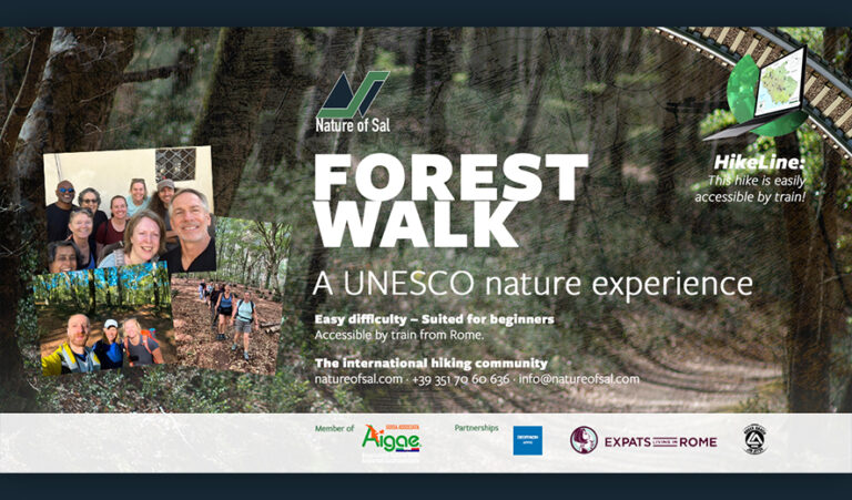 Relaxing, beginner-friendly hike in the UNESCO-heritage, ancient beech forest 8 393184 banner expats 768x451