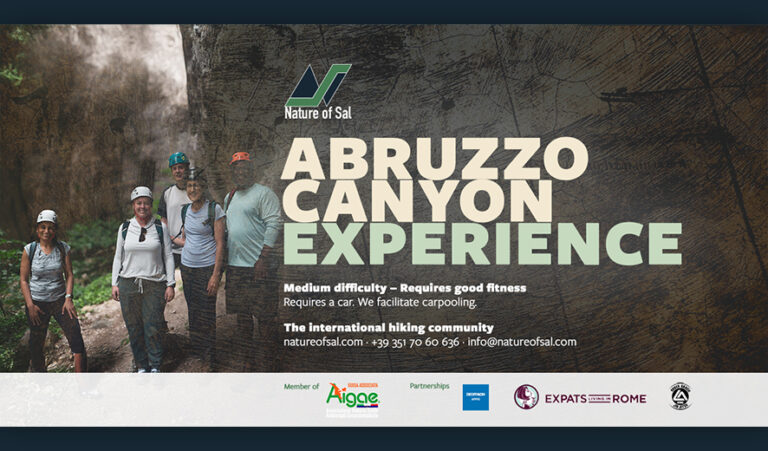 491352 banner expats 768x451