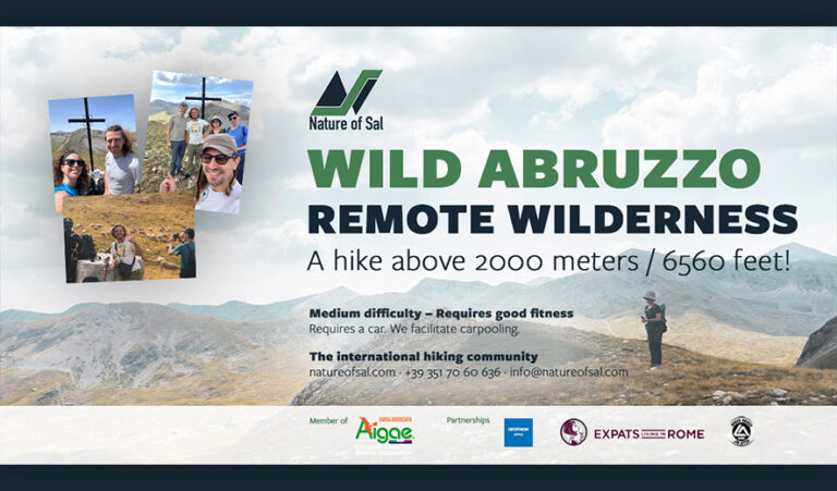 559564 banner expats 768x451