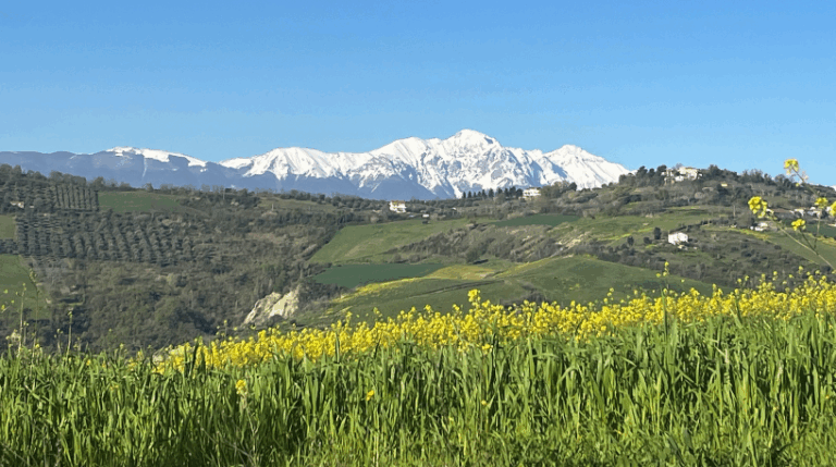 Valle del sole - Country home Rental in Atri, Abruzzo | Short & Medium Stays 15 3 Vineyard Rental in Valle del Sole Abruzzo expatslivinginrome.com 768x429