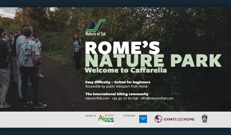 393178 banner expats 768x451