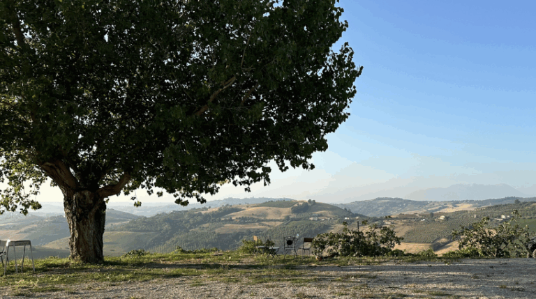 Valle del sole - Country home Rental in Atri, Abruzzo | Short & Medium Stays 18 6 Vineyard Rental in Valle del Sole Abruzzo expatslivinginrome.com 768x429