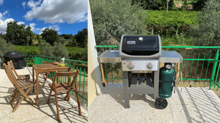 7 Vineyard Rental in Valle del Sole Abruzzo expatslivinginrome.com  768x429