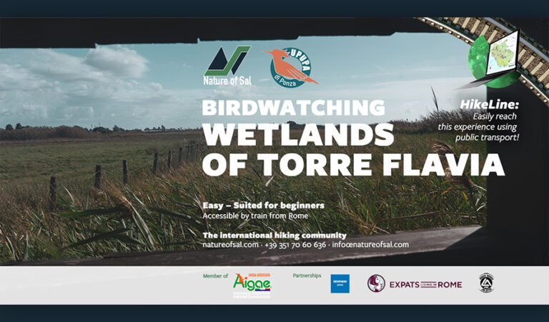 672268 banner expats 768x451