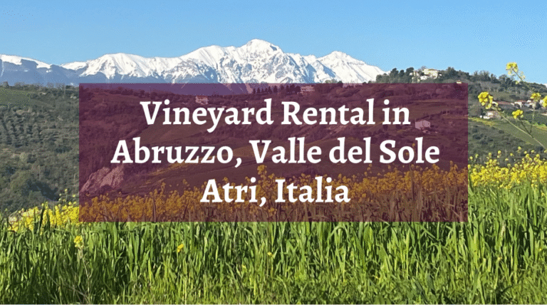 Valle del sole - Country home Rental in Atri, Abruzzo | Short & Medium Stays 13 Copy of Vineyard Rental in Valle del Sole Abruzzo – Ferragosto Offer 44 Off 768x428