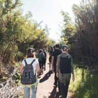 Urban city hike to the ancient Parco degli Acquedotti 1 Urban city hike to the ancient Parco degli Acquedotti 1