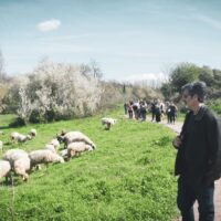 Guided walk in Rome's Secret Nature Park (Caffarella Park) 4