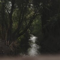 Guided walk in Rome's Secret Nature Park (Caffarella Park) 3